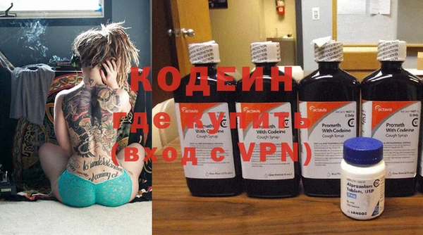 индика Кукмор