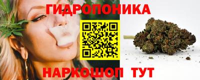 крисы Конаково
