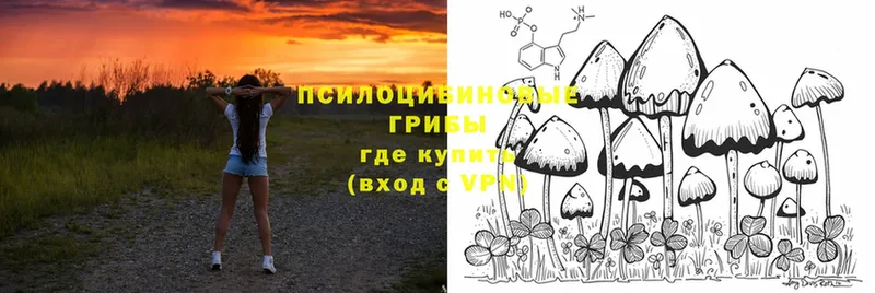 Псилоцибиновые грибы ЛСД  Реутов 