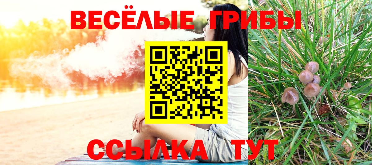 Галлюциногенные грибы GOLDEN TEACHER Реутов