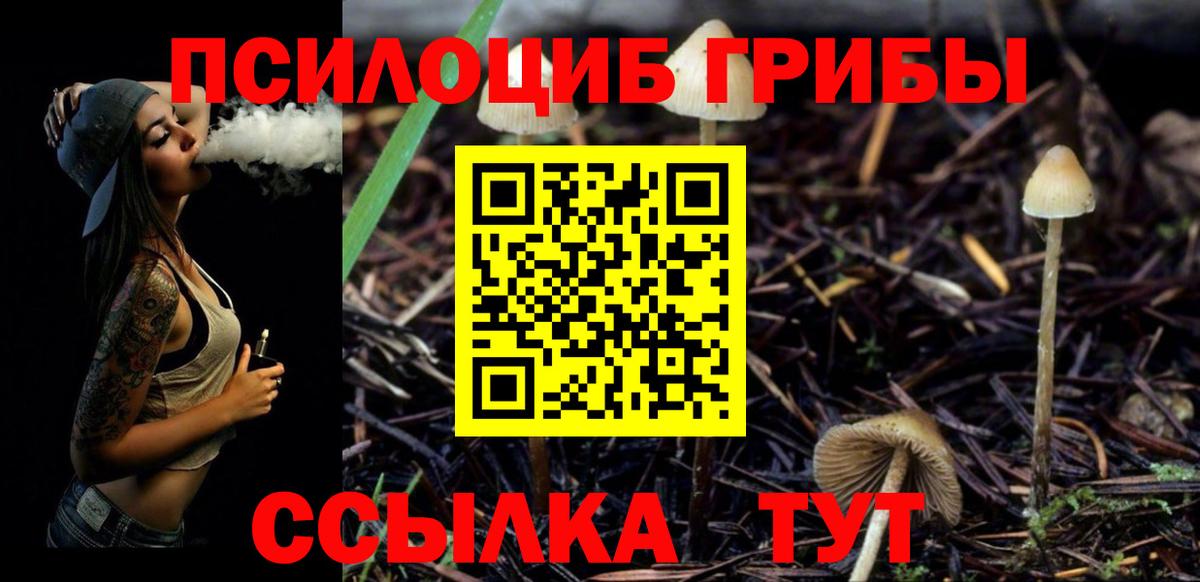 Реутов  купить закладку  Вход с VPN  Псилоцибиновые грибы ЛСД 