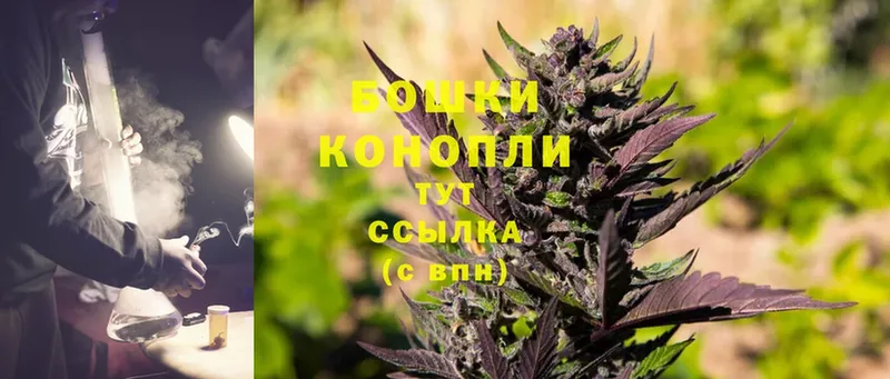 OMG вход  Реутов  Каннабис сатива 